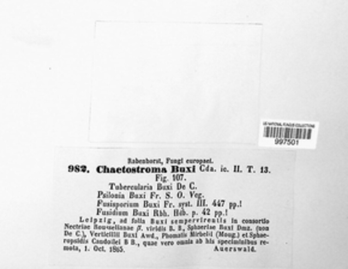 Volutella image